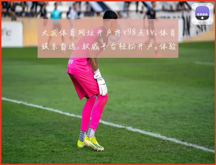 大发体育网址开户许v98点tv,体育娱乐首选,权威平台轻松开户,体验非凡