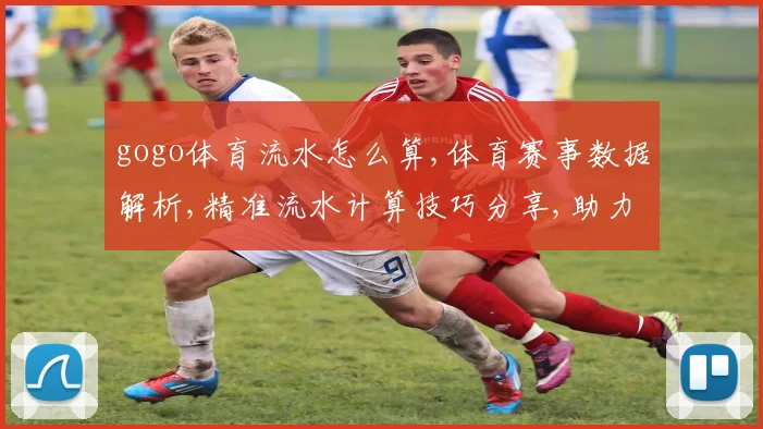 gogo体育流水怎么算,体育赛事数据解析,精准流水计算技巧分享,助力投注策略优化
